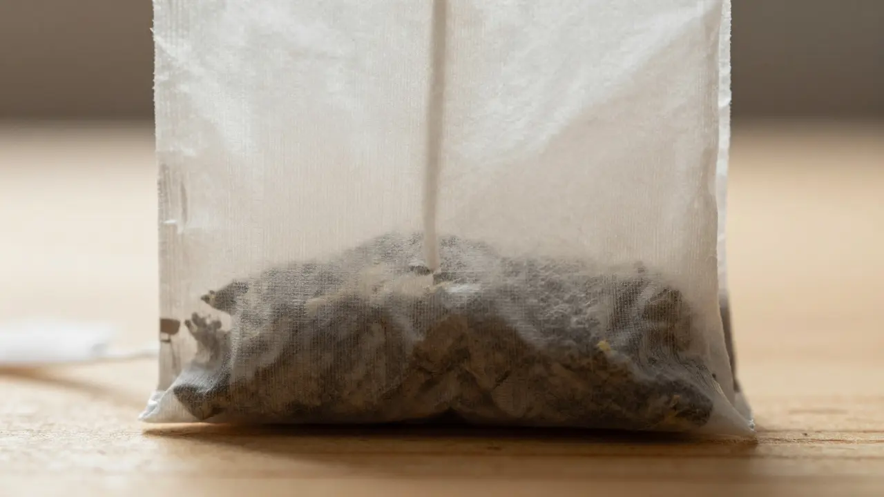 Kam patří sáček od čaje? Správné třídění odpadu a ekologické tipy