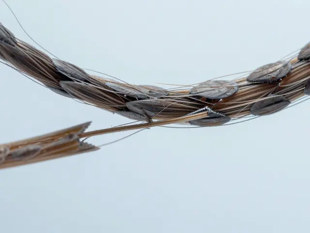 Jak správně doplnit keratin do vlasů: Mýty, fakta a ověřené postupy
