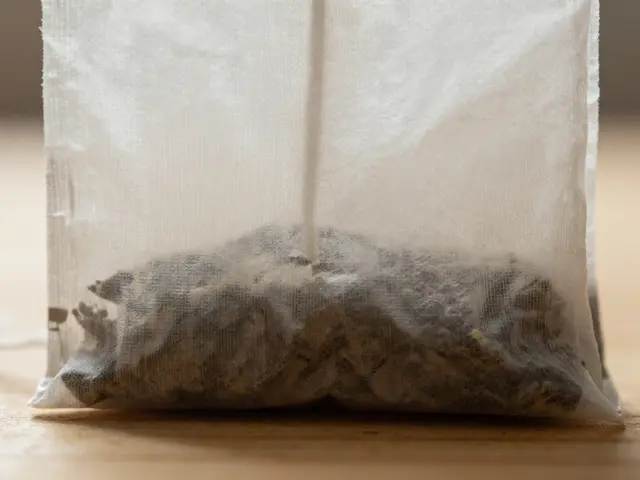 Kam patří sáček od čaje? Správné třídění odpadu a ekologické tipy